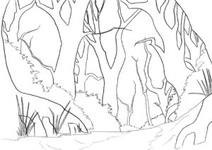 photo_5321458699174273899_y